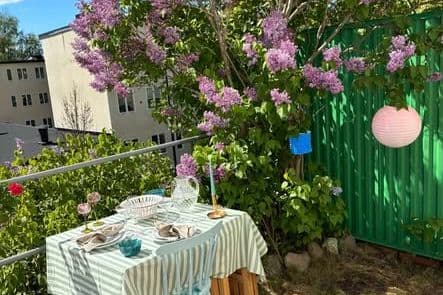 Mysig 1a med terrass i Hjorthagen